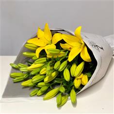 Simply Yellow Asiatic Lily
