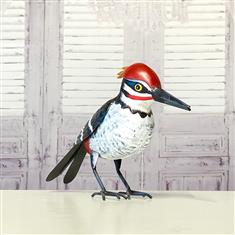 Walter the Woodpecker