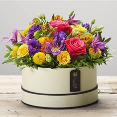 Hatbox - Colour Choice