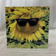 Happy Sunflower in Field - Greetings Card