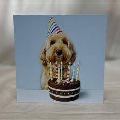 Birthday Party Dog - Greetings Card