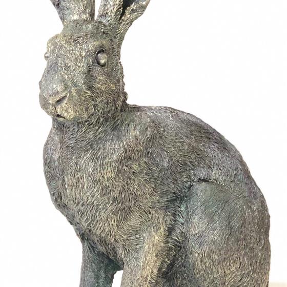 Harold the Hare main image 0
